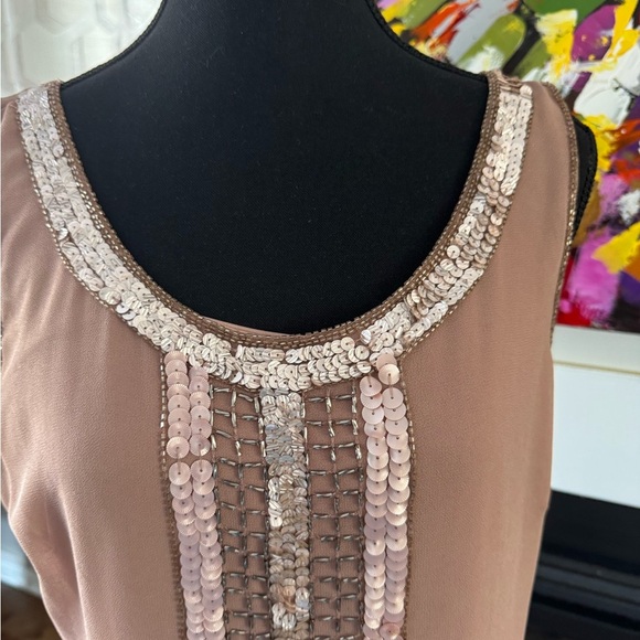 Adrianna Papell Sequin Embellished Dress in Blush - Picture 3 of 8